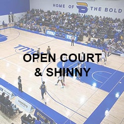 Open Court & Shinny.jpg